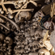 Illustration for article titled These Buildings Are Made with Skulls and Bones